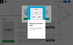 Page screenshot: Add New Post &lsaquo; Test site &mdash; WordPress