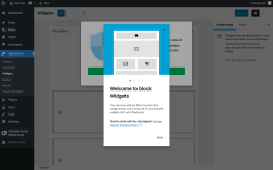 Page screenshot: Widgets &lsaquo; Test site &mdash; WordPress