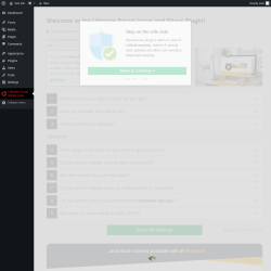 Page screenshot: Ultimate Social Media Icons &lsaquo; Test site &mdash; WordPress