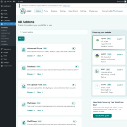 Page screenshot: WPForms Addons