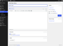Page screenshot: Stories &rarr; Add New Story