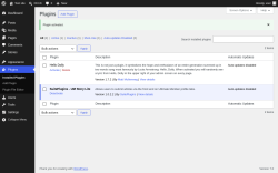 Page screenshot: Plugins &lsaquo; Test site &mdash; WordPress