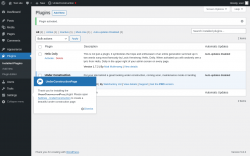 Page screenshot: Plugins &lsaquo; Test site &mdash; WordPress