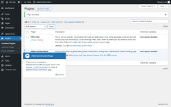 Page screenshot: Plugins &lsaquo; Test site &mdash; WordPress