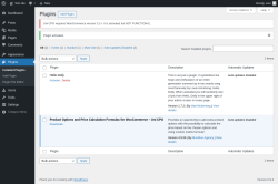 Page screenshot: Plugins ‹ Test site — WordPress