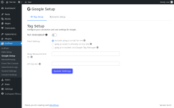 Page screenshot: UniPixel &rarr; Google Setup