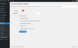 Page screenshot: Settings → Google Analytics