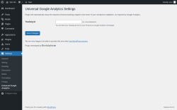 Page screenshot: Settings &rarr; Universal Google Analytics