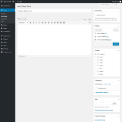Page screenshot: Add New Post &lsaquo; Test site &mdash; WordPress