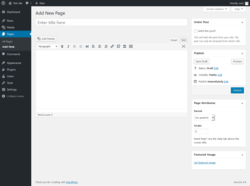 Page screenshot: Add New Page &lsaquo; Test site &mdash; WordPress