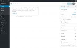 Page screenshot: Edit Post &lsaquo; Test site &mdash; WordPress