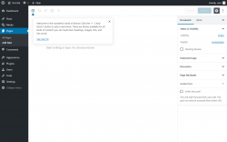 Page screenshot: Edit Page &lsaquo; Test site &mdash; WordPress