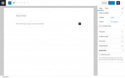 Page screenshot: Add New Page &lsaquo; Test site &mdash; WordPress