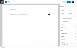 Page screenshot: Add New Post &lsaquo; Test site &mdash; WordPress