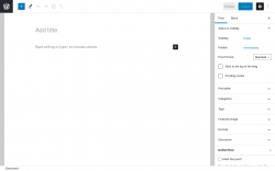 Page screenshot: Add New Post &lsaquo; Test site &mdash; WordPress