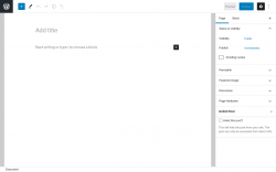 Page screenshot: Add New Page &lsaquo; Test site &mdash; WordPress