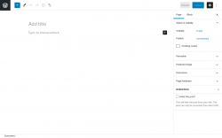 Page screenshot: Add New Page &lsaquo; Test site &mdash; WordPress