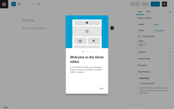 Page screenshot: Add New Page &lsaquo; Test site &mdash; WordPress