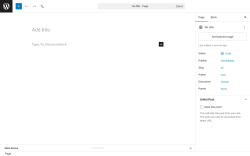 Page screenshot: Add Page &lsaquo; Test site &mdash; WordPress