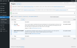 Page screenshot: Plugins &lsaquo; Test site &mdash; WordPress