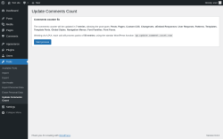 Page screenshot: Tools → Update Comments Count