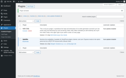 Page screenshot: Plugins &lsaquo; Test site &mdash; WordPress