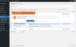 Page screenshot: Plugins &lsaquo; Test site &mdash; WordPress