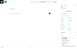 Page screenshot: Add Post ‹ Test site — WordPress
