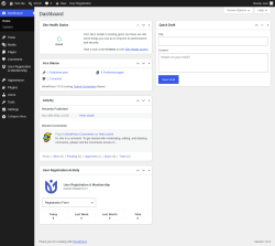 Page screenshot: Dashboard &lsaquo; Test site &mdash; WordPress