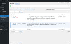 Page screenshot: Plugins &lsaquo; Test site &mdash; WordPress