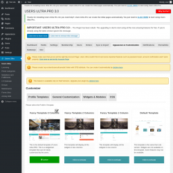 Page screenshot: Users Ultra → Appearance & Customization