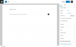 Page screenshot: Add New Post ‹ Test site — WordPress
