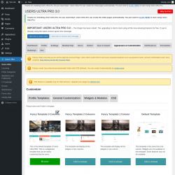 Page screenshot: Users Ultra → Appearance & Customization