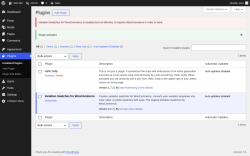 Page screenshot: Plugins &lsaquo; Test site &mdash; WordPress
