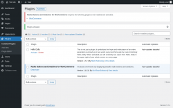 Page screenshot: Plugins ‹ Test site — WordPress