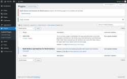 Page screenshot: Plugins ‹ Test site — WordPress