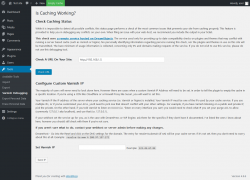 Page screenshot: Tools &rarr; Varnish Debugging