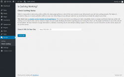 Page screenshot: Varnish &rarr; Check Caching