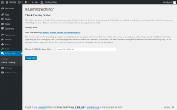 Page screenshot: Proxy Cache &rarr; Check Caching