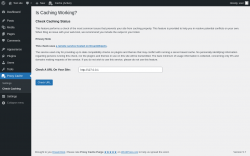 Page screenshot: Proxy Cache &rarr; Check Caching