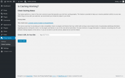 Page screenshot: Proxy Cache &rarr; Check Caching