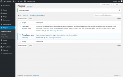 Page screenshot: Plugins &lsaquo; Test site &mdash; WordPress