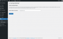 Page screenshot: Proxy Cache &rarr; Check Caching