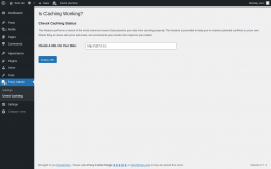 Page screenshot: Proxy Cache &rarr; Check Caching