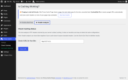 Page screenshot: Proxy Cache &rarr; Check Caching &rarr; 
					
					Header Analysis				