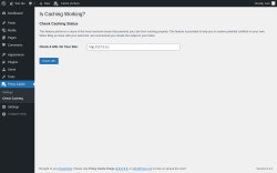 Page screenshot: Proxy Cache &rarr; Check Caching