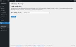 Page screenshot: Proxy Cache &rarr; Check Caching