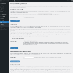 Page screenshot: Proxy Cache