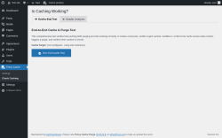 Page screenshot: Proxy Cache &rarr; Check Caching