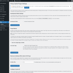 Page screenshot: Proxy Cache